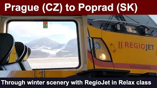 Amazing snow-covered scenery with RegioJet! Prague to Poprad - The Czech Republic to Slovakia.