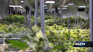 New push underway to legalize, decriminalize marijuana in Kentucky