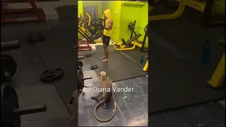 Funny dubbing monkey gym #funny #monkey #dubbing #sofunny