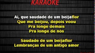 Flor E O Beija Flor - Henrique e Juliano Karaoke Acústico "Parceiro De Treino"