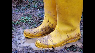 How to Manage a MUDDY YARD