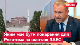 Коріков: Місія МАГАТЕ ЗОБОВ'ЯЗАНА допомогти повернути Запорізьку АЕС під контроль України