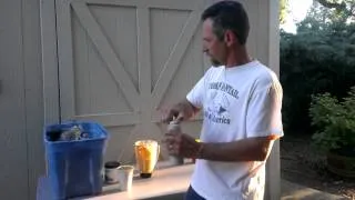 Hand Feeding baby pigeons, by Dan Skiles