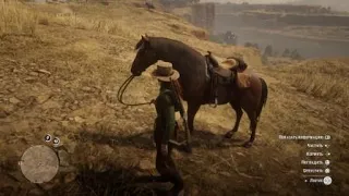 Поимка и укрощение дикой лошади в Red Dead Redemption 2