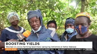 Boosting Yields: Women in cocoa farming lead mass spraying initiative at Sefwi Bekwai - Adom TV News