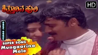 Mungaarina Male | Kannada Old Video Song | Kitturina Huli Movie Songs | Shashikumar, Malashree