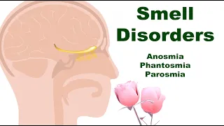 Smell Disorders: Anosmia, Phantosmia, and Parosmia (Why and What Happens?)