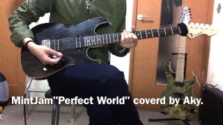 MintJam Perfect World Guitar coverd by Aky.