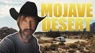 Tom Green - Van Life - Mojave Desert - California