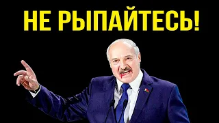 Как Лукашенко дошёл до жизни такой