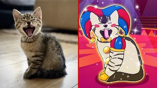 😂Cat Memes: Digital Circus but Cute and Funny Cats and Dogs😅FUNNY CATS MEMES COMPILATION OF 2023 V39