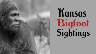 Kansas Bigfoot Sightings