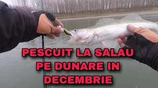 Pescuit la salau pe Dunare din barca in decembrie