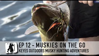 Muskies on the Go - Keyes Outdoors Musky Hunting Adventures