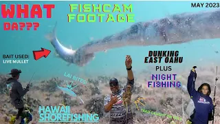 WHAT DA??? FISHCAM FOOTAGE, NUNU MAULING LIVE MULLET! #FISHING #GOFISHCAM #HAWAII #PAPIO #omilu 🎣 🤙🏽