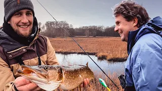 Polderangeln Holland - Spinner vs. Jerkbait, was fängt besser?