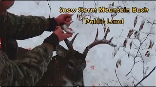 PA Mountain Buck in a Snow Storm - Public Land