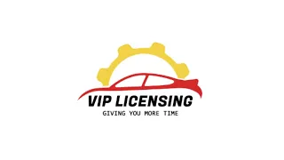 Where can I renew my vehicle license disk online in South Africa?