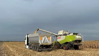 Збирання врожаю соняшника та кукурудзи. Посівна озимої пшениці. Все у одному відео 👍