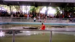 Pattaya Crocodile Show, Thailand / Шоу крокодилов в Паттайе (Таиланд)