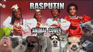 Boney M - Rasputin (Animal Cover)