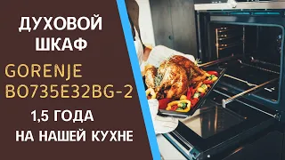 Духовой шкаф Gorenje (Горенье) BO735E32BG-2. 1,5 года на нашей кухне. Мнение