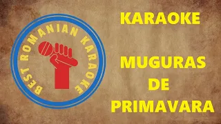 KARAOKE: Muguras de primavara Cine seama cu mine Versuri Negativ (Do min/ Do maj)