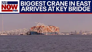 Baltimore bridge collapse: Largest crane on eastern seaboard used to move ship | LiveNOW from FOX