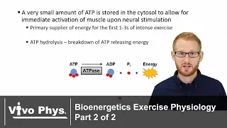 Bioenergetics Part 2 of 2 - Metabolic Pathways (UPDATED VERSION IN DESCRIPTION)