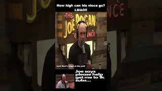 Joe Rogan the Dominatrix #2