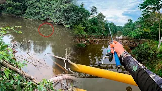 Pesca en Antiguo Puente Militar - PESCA URBANA