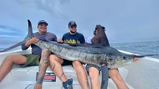 Pesca de Marlin Rayado Gigante en Puerto Vallarta!!