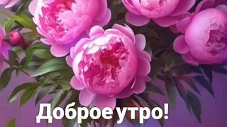 Доброе утро-это когда на душе как-то удивительно хорошо💖😊💖Прекрасного настроения 💗💗💗