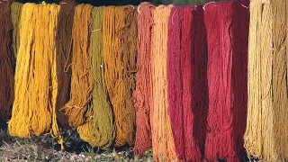 Dyeing fabrics in a traditional way with plants | Natural dyes | Lost Trades | Documentary film