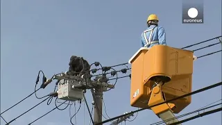 chimp escape primate swing from live power line falls from electricity pole