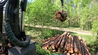 John Deere 1010G Forwarder - Unloading pine logs. Tractor evening the road.