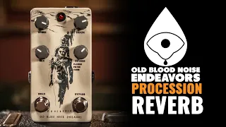 Old Blood Noise Endeavors Procession Reverb | CME Gear Demo | Shelby Pollard