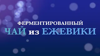 Ферментированный ЧАЙ из ЕЖЕВИКИ