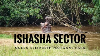 Uganda | Queen Elizabeth National Park - Ishasha Sector