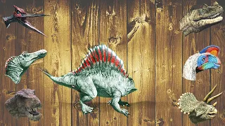 귀여운 귀여운 동물 공룡, 스피노사우루스, 케라토사우루스, 오비랍토르, 타르보사우루스, 프테라노돈 공룡 공룡