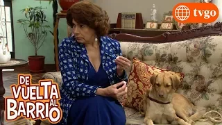 De vuelta al barrio - 04/07/2019 - Cap 418 - 4/5