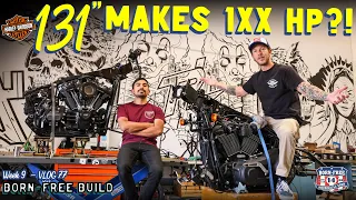 Low Rider ST! Makes 1XX Horsepower? Born-Free Build Week 9 - Vlog 77