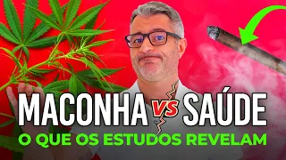 Afinal, MACONHA faz mal pra saúde? 😗💨