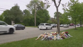 'Ball of sunshine': Friends mourn loss of teen killed in Glenview car crash