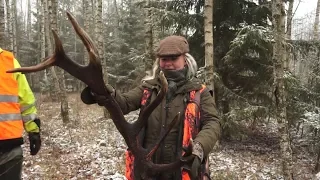 Hunting in Latvia "Metsapoole" S2E7