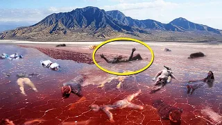 20 Deadliest Places on Earth that No One Would Believe Were Real...