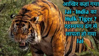 True Story of Tiger Jai - The Hulk Of India। भारत का सबसे बड़ा टाइगर आखिर अचानक कहां गायब हो गया ?