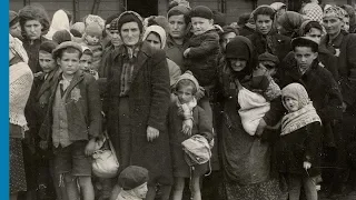 The Auschwitz Album- Visual Evidence of the Process Leading to the Mass Murder at Auschwitz-Birkenau