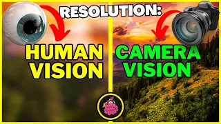 WHAT is the RESOLUTION of the HUMAN EYE?  The POWER of the EYE!