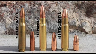 338 Federal vs 308 Winchester vs 358 Winchester Review & Comparison